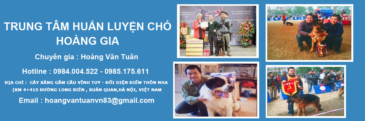 trại huấn luyện chó