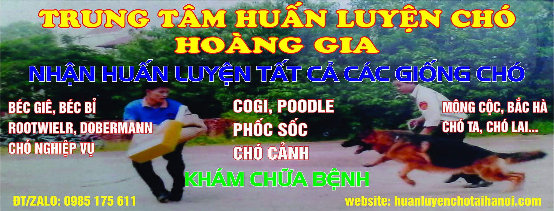 trung tâm huấn luyện chó